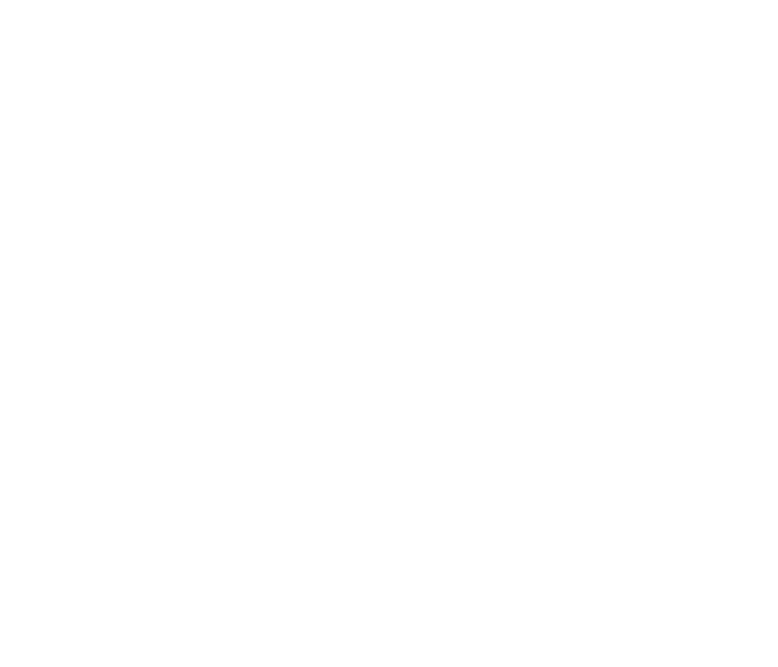 IAESTE Cameroon Logo